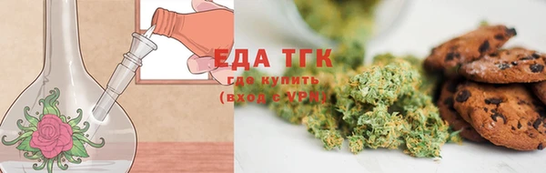 индика Балабаново